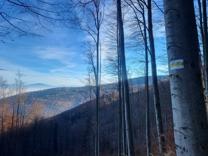 Cover Image for Wycieczka po Śląsku Cieszyńskim i okolicach. Bielsko-Biała - Cieszyn - Żywiec